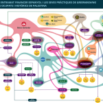 Visibilitzant el Greenwashing de l'ocupació: Confrontant les estratègies per legitimar i aprofundir els conflictes al Sàhara Occidental Ocupat i Palestina